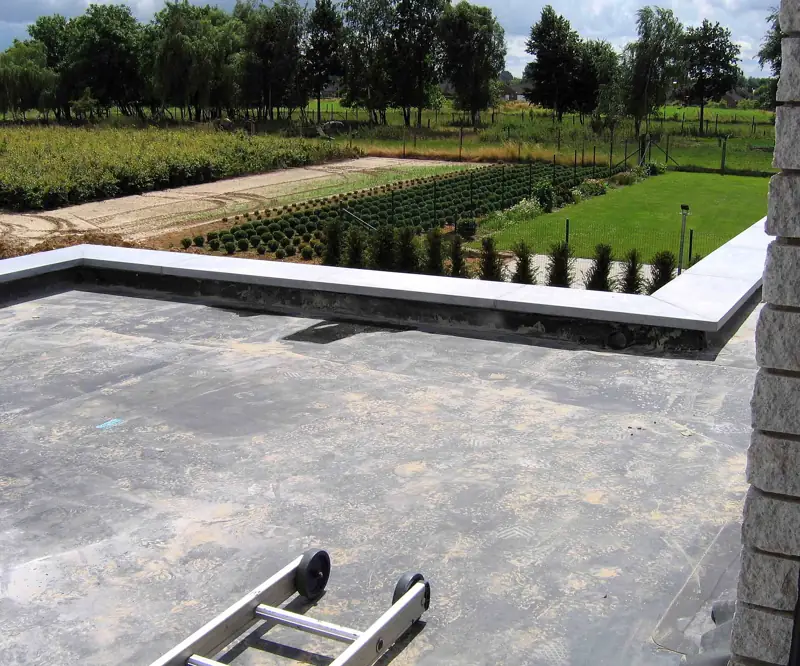 Commercial Roofing roof
